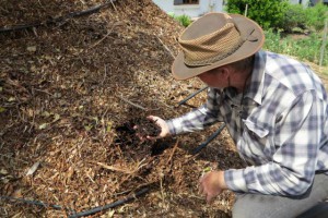 Compost heap generating hot water all year round.